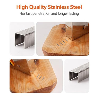 Heavy Duty Stainless Steel T50 Staples 1000-Count 2 Sizes for Staple Gun, Includes: 3/8", 1/2" Assortment, Combo kit