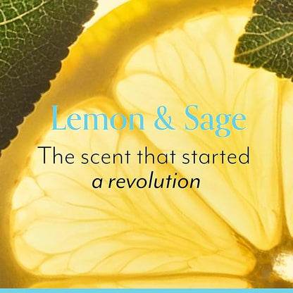 Bliss Lemon & Sage Happy Hands Duo | Hydrating Hand Wash & Nourishing Hand Cream Set with Decorative Tray