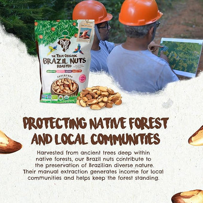 Snack The True Organic Brazil Nuts 32oz-2lbs – Roasted & Himalayan Salt – Kosher – Healthy-Rich in Vegetable Protein – From Amazon Rainforest – Fresh, Vegan, Gluten-Free and Oil Free – Forest Up