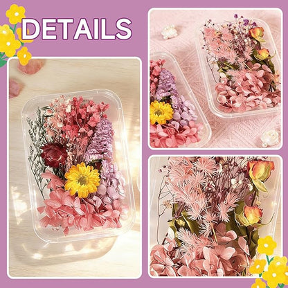 2PCS Dried Flowers Kit, Natural Dried Flowers Kit for DIY Crafts, Scrapbook, Card Making (Style15_28)
