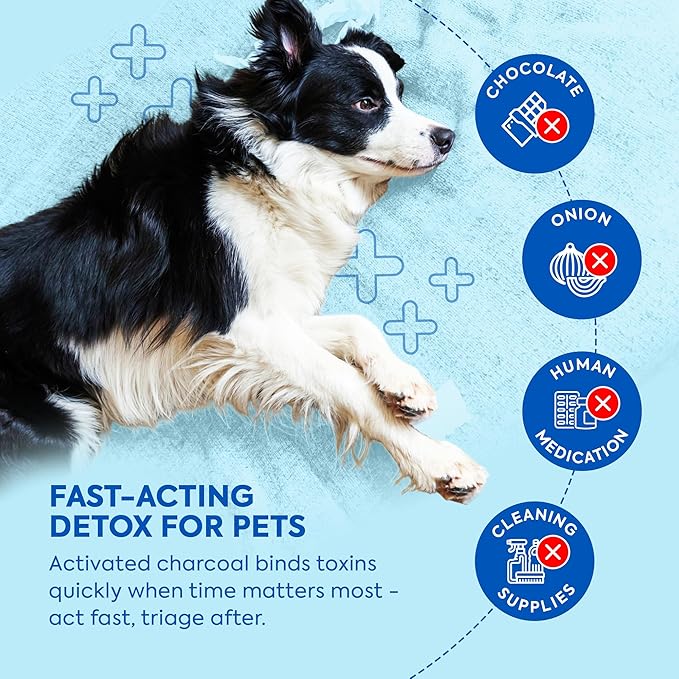 Dr. Cuddles ReadyRESCUE - Dog First Aid Kit Essential - Activated Charcoal Detox for Dogs, Cats, Pets - Animal First Aid Kit - Dog Medical Emergency Kit - Dog Travel Essentials - 30g (3 Vials of 30g)
