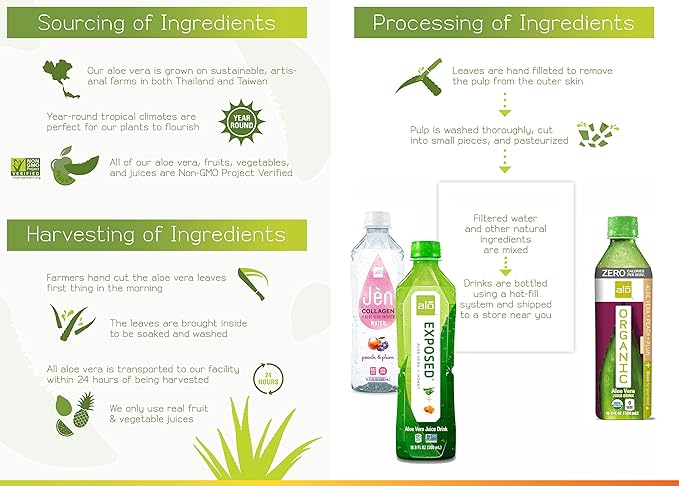 ALO Aloe Vera Juice Drink | BLUSH - Aloe Vera + Strawberry | 16.9 fl oz, Pack of 12 | Plant-Based Drink with Real Aloe Pulp