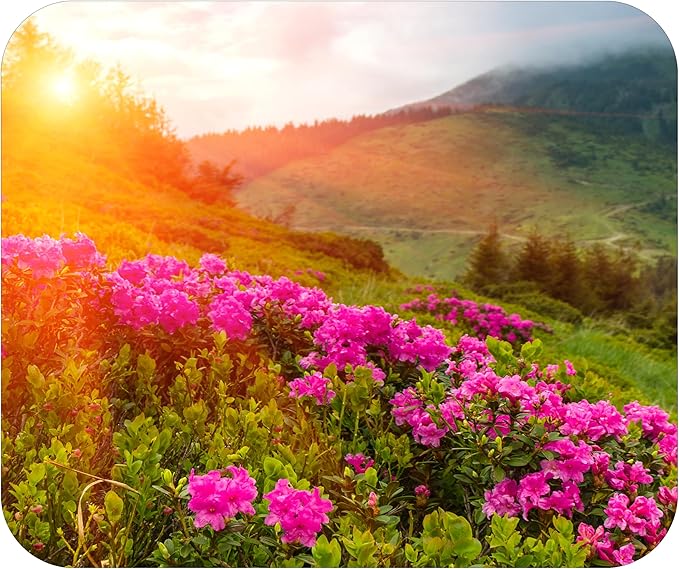 Spring Season Mouse Pad Mat Mousepad for Desk Computer Laptop PC Gaming Home or Office Gift (Sunset MP89)