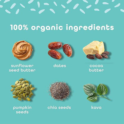 Feel Vegan Protein Bars | Vanilla Spice | Keto | Gluten Free | Organic | Kava | 15g Protein | Low Carb | Dairy Free | Grain Free | Soy Free | Nut Free | Low Sugar | Non GMO - 10 Pack