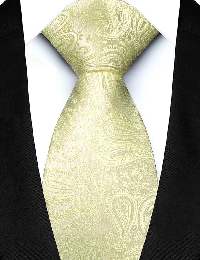 JEMYGINS Mens Paisley Tie and Lapel Pin Necktie Pocket Square and Tie Clip with Sets for Business Casual 4PCS