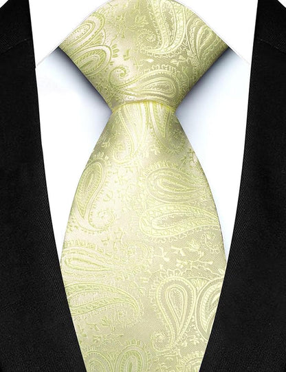 JEMYGINS Mens Paisley Tie and Lapel Pin Necktie Pocket Square and Tie Clip with Sets for Business Casual 4PCS