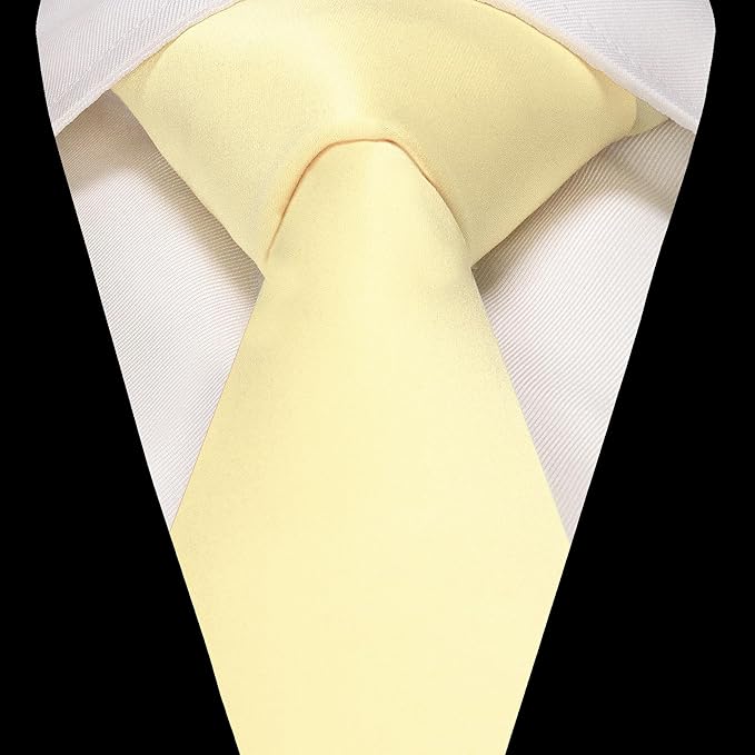 RBOCOTT Solid Color Tie and Pocket Square Hankerchief with Lapel Pin Set for Men