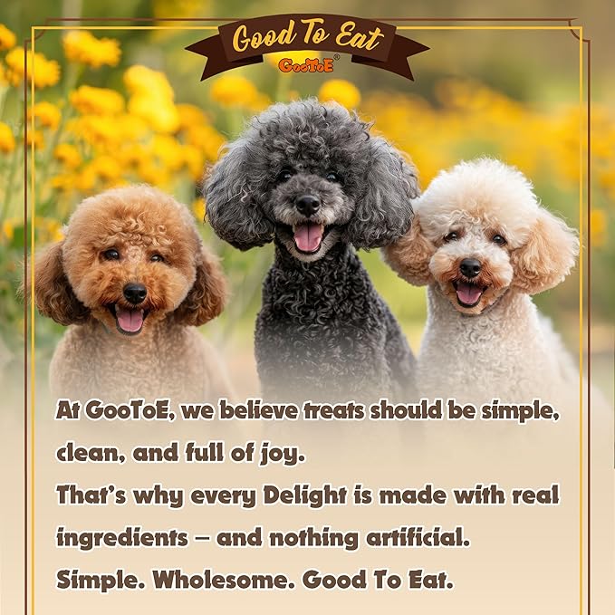 Gootoe Turkey Tendons for Dogs – All-Natural, Hypoallergenic Dog Treats, Rawhide Alternative, Long Lasting Puppy Chews, Healthy Dog Treats for Small Breeds, Rope (L), 16 oz Pack (1 lb)