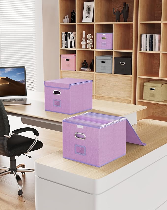 Oterri 2 Pack File Organizer Box,File Box,Small File Cabinet for Letter Folders,Lavender Portable Filing Box,Hanging File Folder Organizer Box with Lid for Office/Decor/Home- without Folders