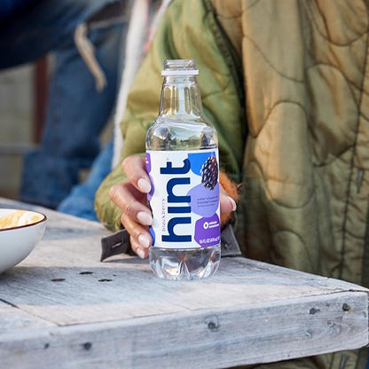 Hint Water Blackberry, Pure Water Infused with Blackberry, Zero Sugar, Zero Calories, Zero Sweeteners, Zero Preservatives, Zero Artificial Flavors, 16 Fl Oz (Pack of 24)
