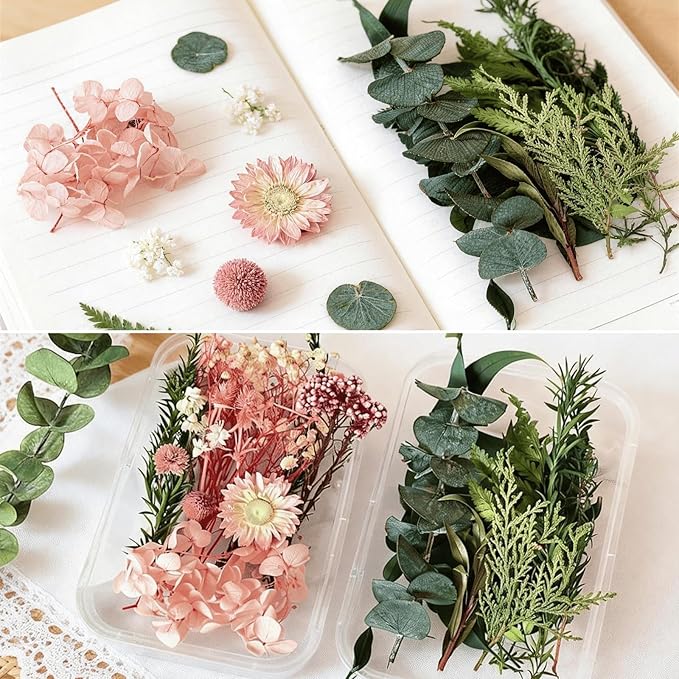 2PCS Dried Flowers Kit, Natural Dried Flowers Kit for DIY Crafts, Scrapbook, Card Making (Stye2_13)