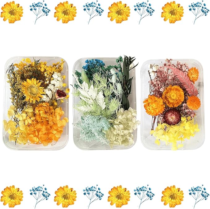 2PCS Dried Flowers Kit, Natural Dried Flowers Kit for DIY Crafts, Scrapbook, Card Making (Style18_24_27)
