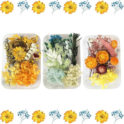 2PCS Dried Flowers Kit, Natural Dried Flowers Kit for DIY Crafts, Scrapbook, Card Making (Style18_24_27)