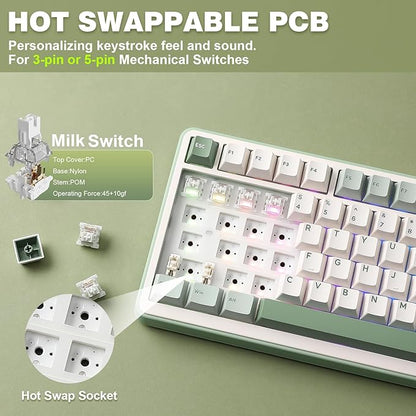YUNZII B75 PRO Wireless Mechanical Keyboard,75% Layout with Knob,Hot Swap Gasket Structure,Creamy Pre-lubed Switches,RGB Backlit,Bluetooth/Type-C/2.4G for Win/Mac (Matcha Green, Milk Switch)