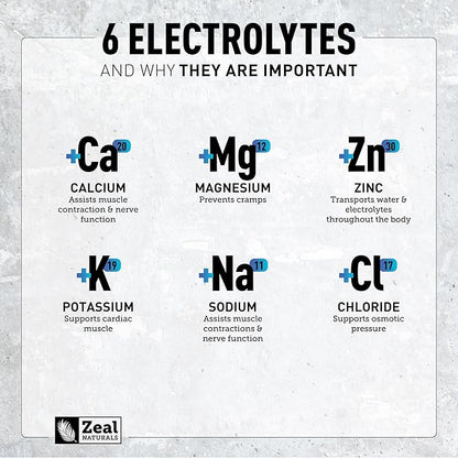 Zeal Electrolyte Powder - 90 Servings | Keto Electrolytes Powder | Zero Sugar, BCAAs, B-Vitamins | Potassium, Zinc, Magnesium | Hydration Powder Recovery Drink | Blue Raspberry