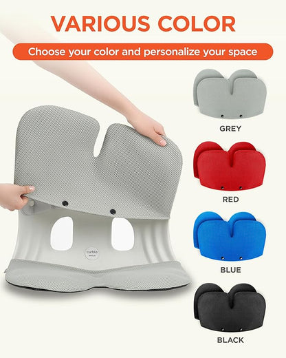 curble Grand Cover, Detachable Cover for Adult Chair, Ergonomic Chair Back Support and Lumbar Support (Grey)