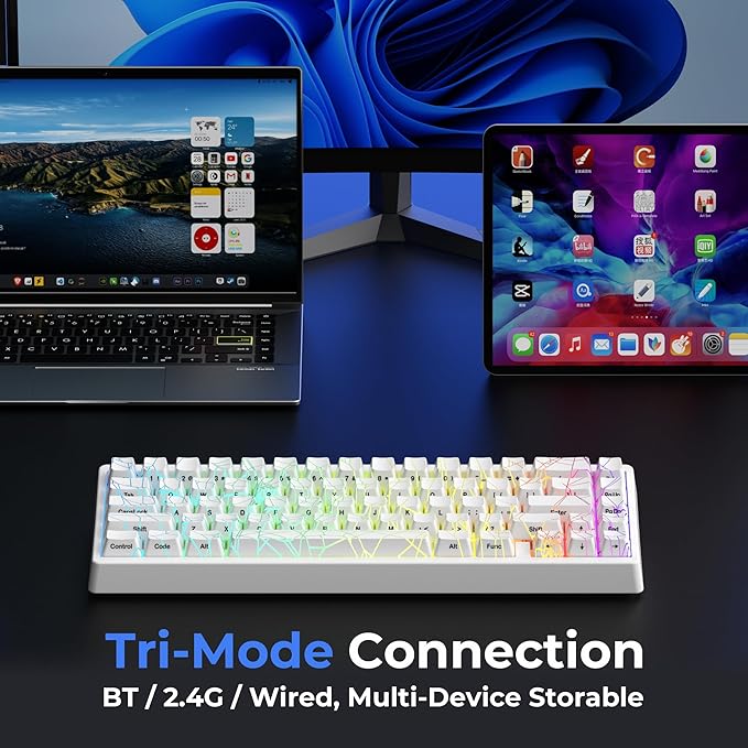 x XVX M67 Wireless 60% Percent Keyboard, QMK/VIA Gaming Keyboard, Tri-Mode Thocky Creamy Mechanical Key Board, Hot Swappable Gasket Mount RGB IMD Tech for Win/Mac, Spider Web Theme, White