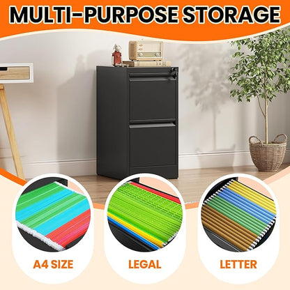 2-Drawer Locking Vertical File Cabinet, Metal Storage Cabinet for Office/Home – Secure Vertical Filing for Letter/Legal/A4/F4 Documents, Easy to Assemble Steel Cabinet, Black (Black, 2 Drawer-28 H)
