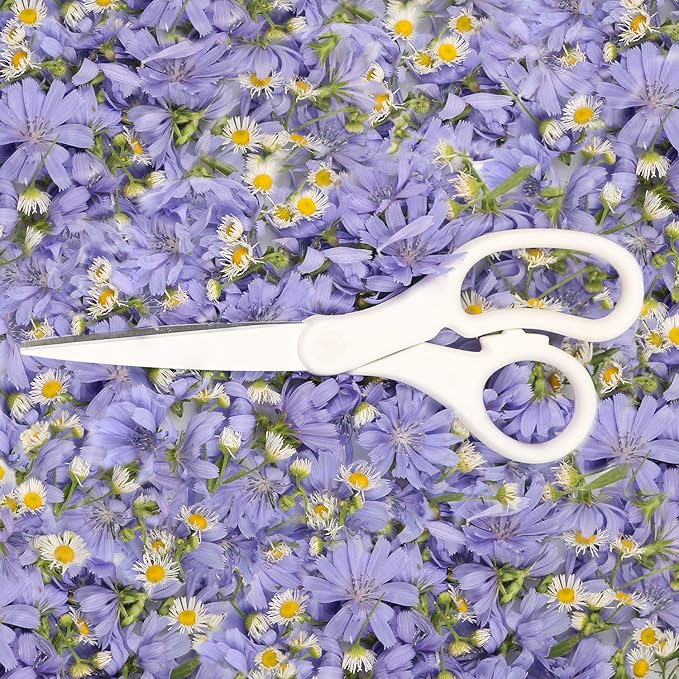JAM PAPER Multi-Purpose Precision Scissors - 8 Inch - White - Ergonomic Handle & Stainless Steel Blades - Sold Individually