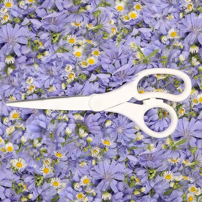 JAM PAPER Multi-Purpose Precision Scissors - 8 Inch - White - Ergonomic Handle & Stainless Steel Blades - Sold Individually
