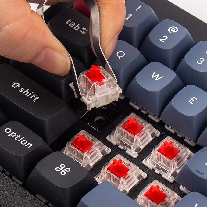 Keychron Q4 Wired Custom Mechanical Keyboard, 60% Layout QMK/VIA Programmable Macro with Hot-swappable Gateron G Pro Red Switch Double Gasket Compatible with Mac Windows Linux (Black)