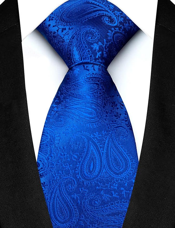 JEMYGINS Mens Paisley Tie and Lapel Pin Necktie Pocket Square and Tie Clip with Sets for Business Casual 4PCS