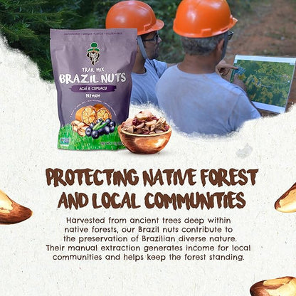 Snack Açaí Trail Mix 7 oz – The True Organic Brazil Nuts Roasted + Açaí Fruit Nibs + Cupuaçu Fruit Nibs – Nutrient-Rich and Practical Combo – Fresh, Vegan and Gluten Free – Forest Up