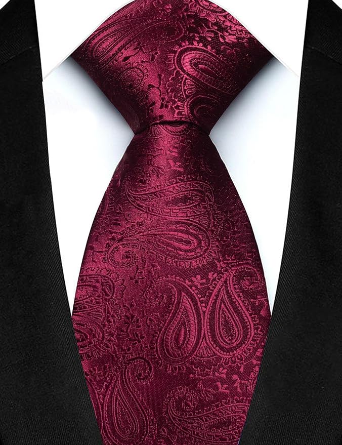 JEMYGINS Mens Paisley Tie and Lapel Pin Necktie Pocket Square and Tie Clip with Sets for Business Casual 4PCS