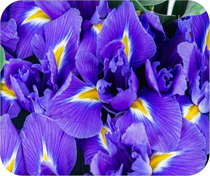 Floral Pattern Flower Mouse Pad Mat Mousepad for Desk Computer Laptop PC Gaming Home or Office Gift for Her Flowers (Iris MP111)