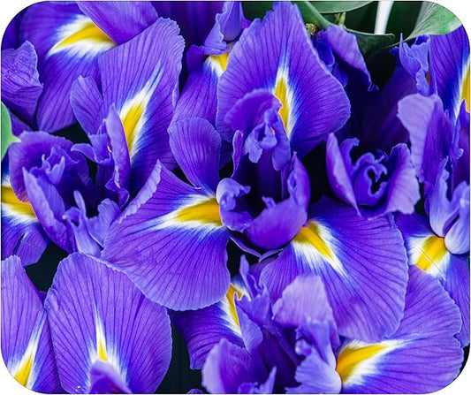 Floral Pattern Flower Mouse Pad Mat Mousepad for Desk Computer Laptop PC Gaming Home or Office Gift for Her Flowers (Iris MP111)