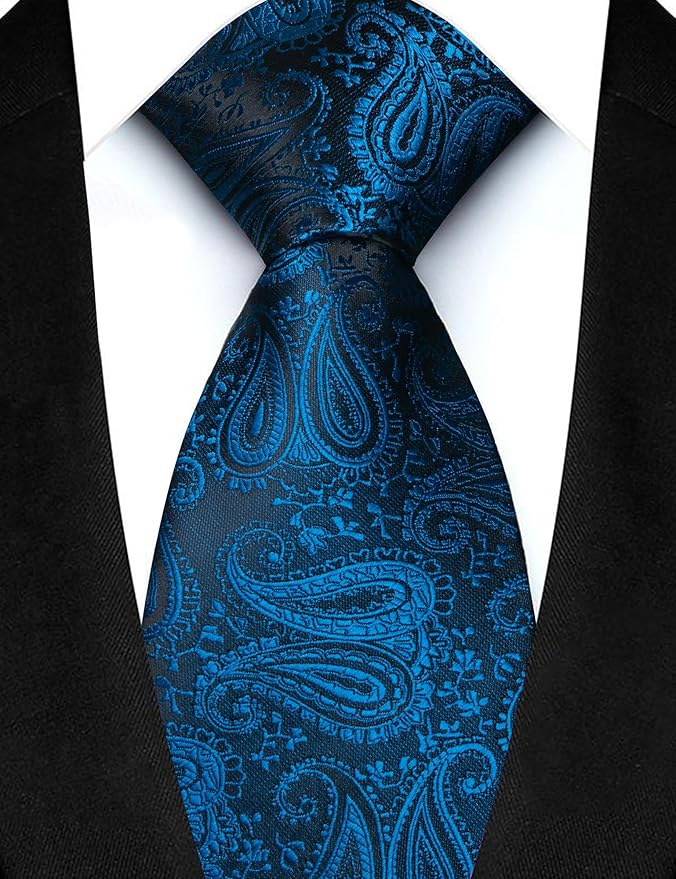 JEMYGINS Mens Paisley Tie and Lapel Pin Necktie Pocket Square and Tie Clip with Sets for Business Casual 4PCS
