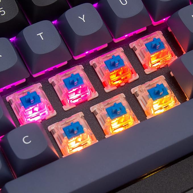 Keychron Q4 Wired Custom Mechanical Keyboard, 60% Layout QMK/VIA Programmable Macro with Hot-swappable Gateron G Pro Blue Switch Double Gasket Compatible with Mac Windows Linux (Black)