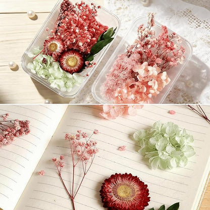 2PCS Dried Flowers Kit, Natural Dried Flowers Kit for DIY Crafts, Scrapbook, Card Making (Style_5_34)