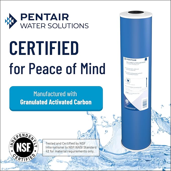Pentair Pentek GAC-10 Carbon Water Filter, 10-Inch, Under Sink Granular Activated Carbon (GAC) Replacement Cartridge, 10" x 2.5" , Blue