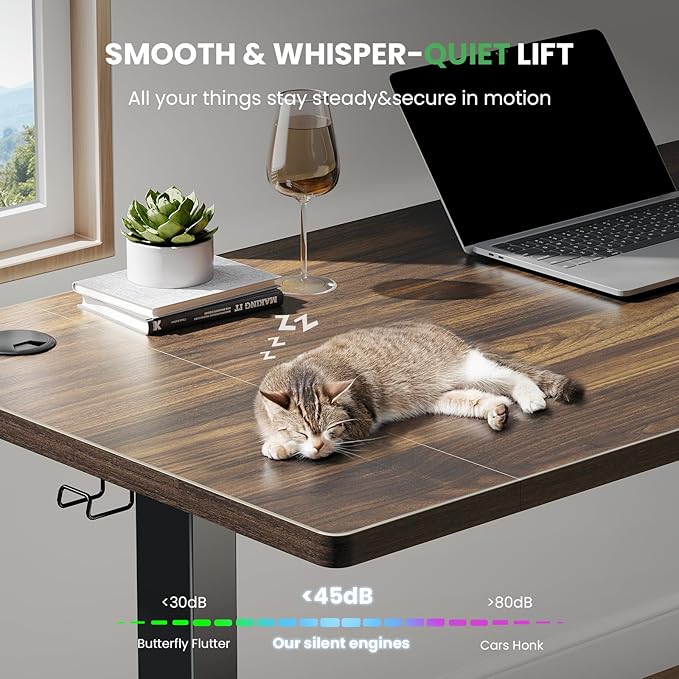 SIAGO Electric Standing Desk Adjustable - 48 x 24 Inch Sit Stand up Desk with Cable Management - 3 Memory Preset Adjustable Height Table