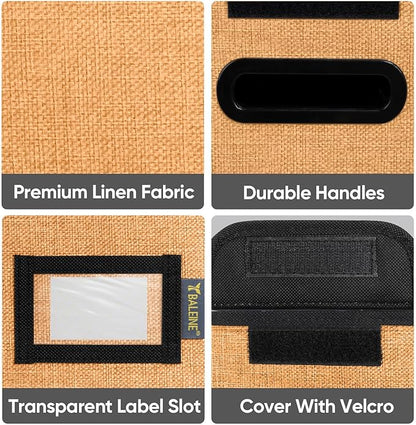 BALEINE File Organizer Box with Lid, Collapsible File Folder Organizer with Plastic Slide, Hanging File Folder Box for Office Document Storage (2 Pack, Orange, S)