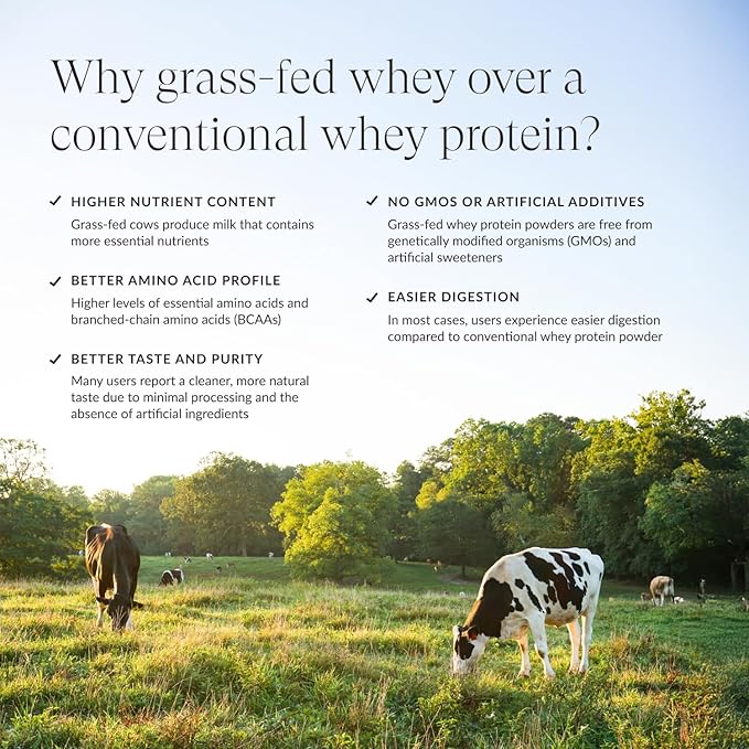 Beam Grass Fed Whey Protein Powder – Chocolate Peanut Butter, 12 Servings, 22g Protein Per Serving, Clean Whey Isolate & Concentrate, Low Carb, Paleo Friendly, GMO Free, Gluten Free, 3rd Party Tested