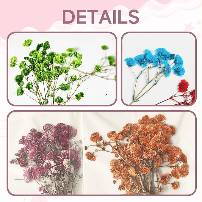 9 Pack Dried Flowers, Natural Pressed Flowers Kit for DIY Crafts, Scrapbook, Card Making,9 Colors