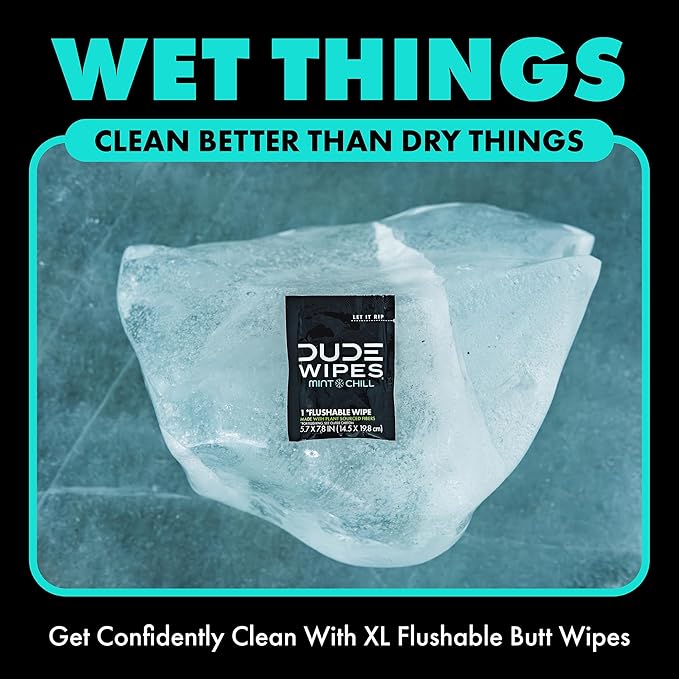 DUDE Wipes - On-The-Go Flushable Wipes - 2 Pack, 60 Count - Mint Chill Extra-Large Individually Wrapped Adult - with Eucalyptus & Tea Tree Oil - Septic and Sewer Safe