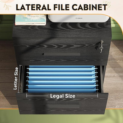 DEVAISE 2-Drawer Wood Lateral File Cabinet with Lock for Office Home, Black