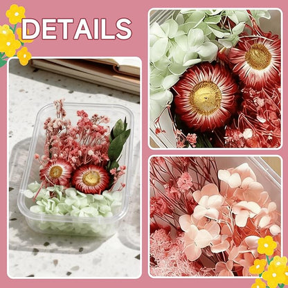 2PCS Dried Flowers Kit, Natural Dried Flowers Kit for DIY Crafts, Scrapbook, Card Making (Style_5_34)