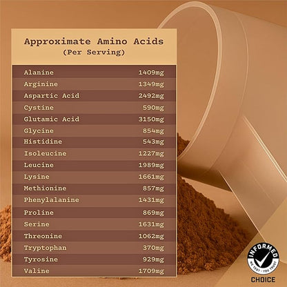 Anea Egg White Protein - Chocolate | 24g Protein | Fat-Free, Cholesterol-Free | 4.9g BCAA | Complete Amino Acid Profile| Dairy-Free, Gluten-Free, Soy-Free | Chocolate Flavor | Made in GMP Facility