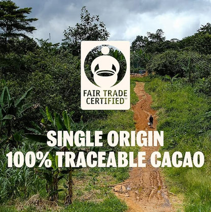 TCHO Holy Fudge 76% Dark Chocolate Bars (10 pack) | Single Origin, Plant Based, Organic & Fair Trade, | Non GMO, Non-Dairy, Vegan Chocolate, Soy Free (2.5oz each)