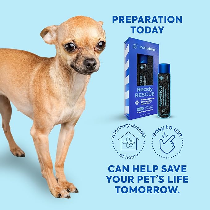 Dr. Cuddles ReadyRESCUE - Dog First Aid Kit Essential - Activated Charcoal Detox for Dogs, Cats, Pets - Animal First Aid Kit - Dog Medical Emergency Kit - Dog Travel Essentials - 30g (1 Vial of 30g)