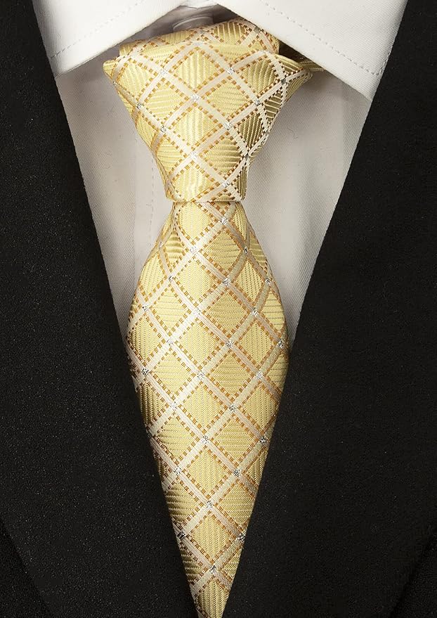 Adulove Men's Necktie Classic Silk Tie Woven Jacquard Neck Ties 6 PCS