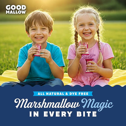 GoodMallow Vegan Rice Crispy Treats Individually Wrapped Box of 8 , Kosher Vegan Snacks, Gluten Free Dairy Free Snacks for Kids & Adults - Healthy Sweets Made with Gourmet Marshmallows, Made in USA (Raspberry)
