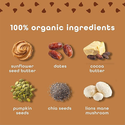 Feel Vegan Protein Bars | Brownie Chocolate Chip | Keto | Gluten Free | Organic | Lion’s Mane | 15g Plant Protein | Low Carb | High Protein | Dairy Free | Low Sugar | Nut, Grain, Soy Free | 10 Pack