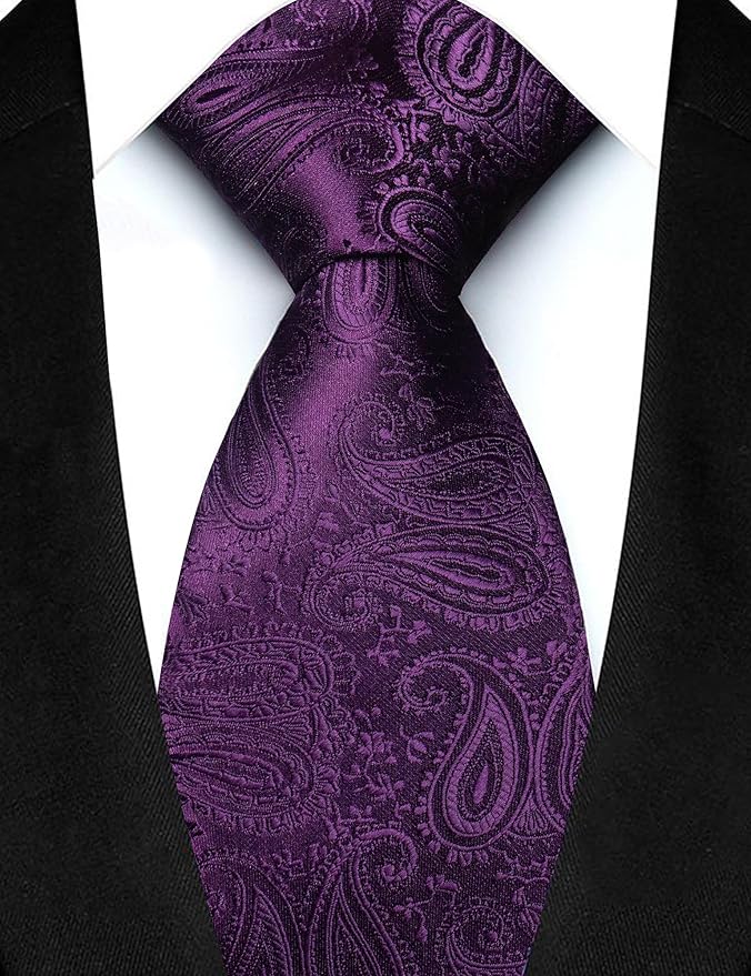 JEMYGINS Mens Paisley Tie and Lapel Pin Necktie Pocket Square and Tie Clip with Sets for Business Casual 4PCS