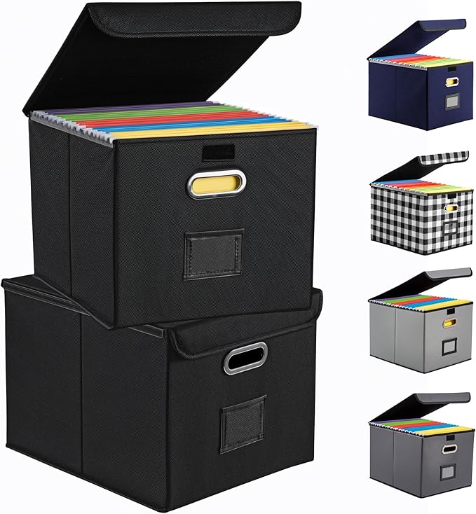 Collapsible File Box with Lid & Plastic Slide - Hanging Document Organizer for Office/Home, 14.96x12.6x10.83 Inch,Black, 2 Pack (No Folders Included)
