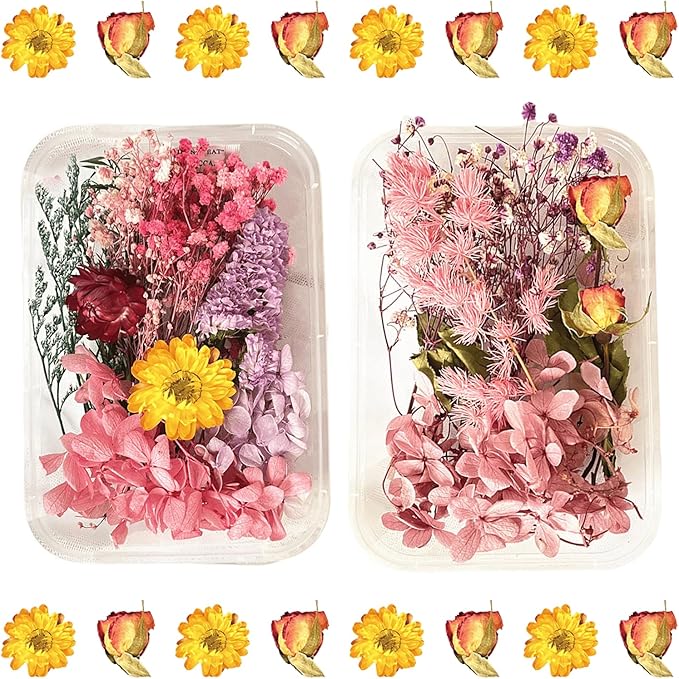 2PCS Dried Flowers Kit, Natural Dried Flowers Kit for DIY Crafts, Scrapbook, Card Making (Style15_28)